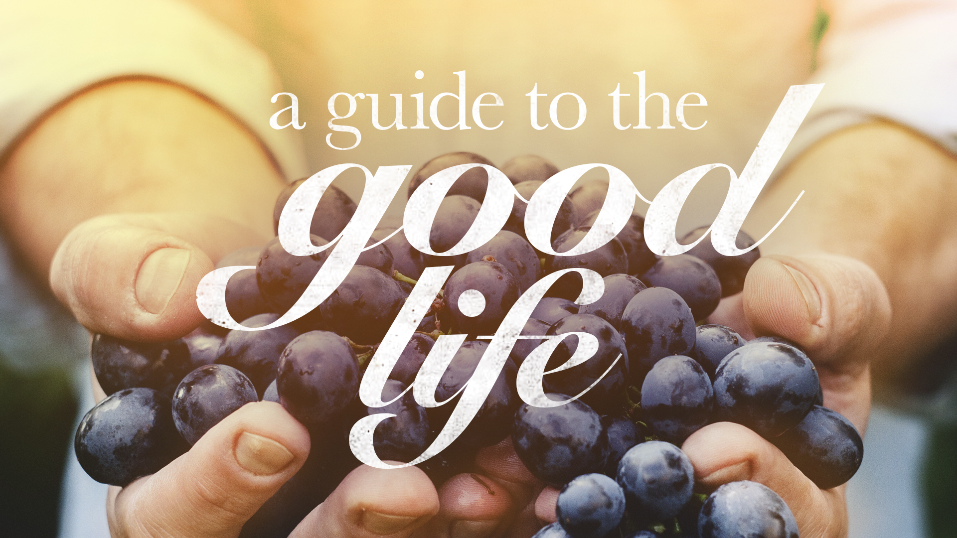 A Guide To The Good Life
