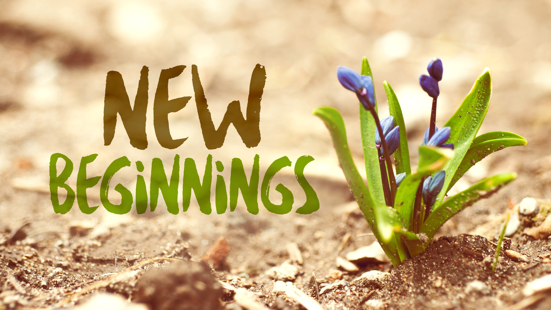 New Beginnings - Grace Fellowship