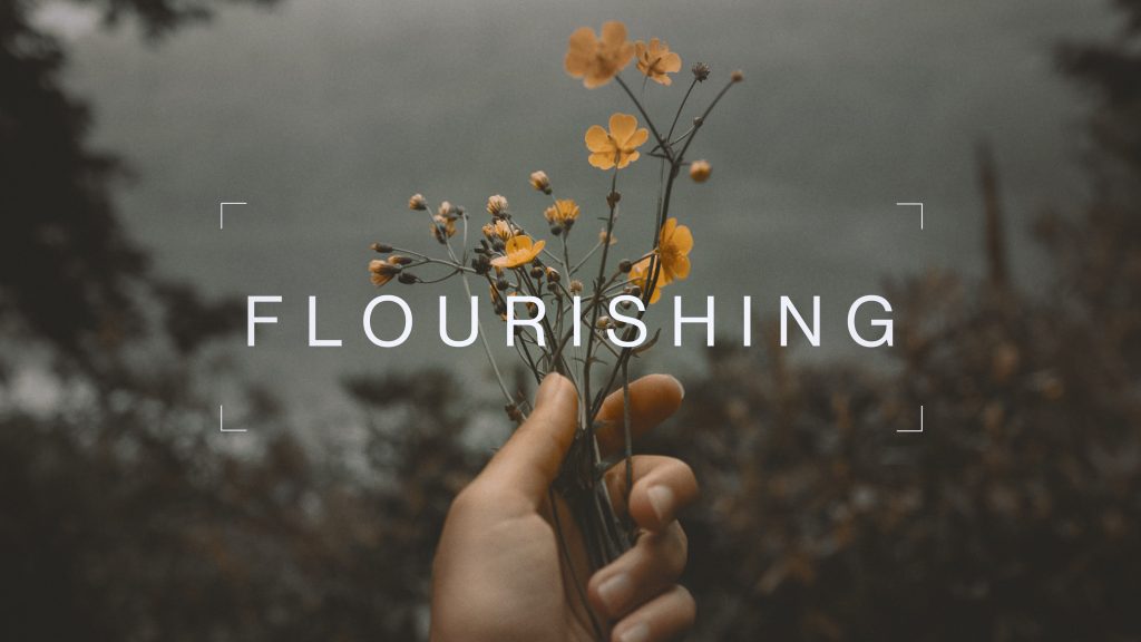 flourishing-grace-fellowship