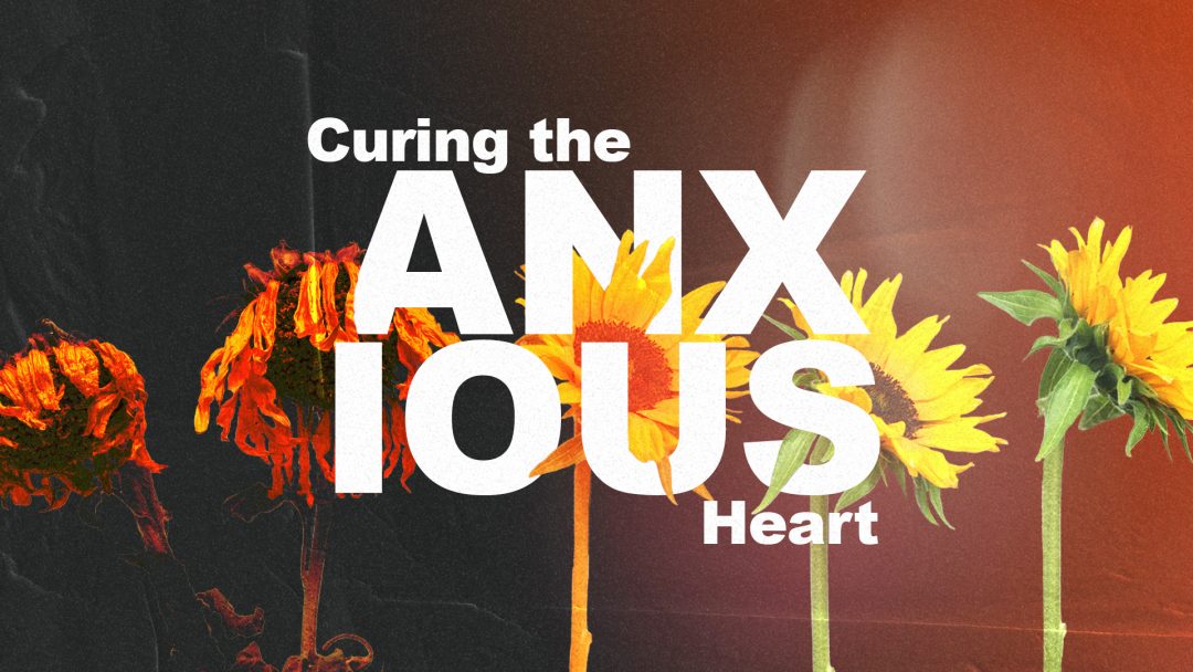 Curing The Anxious Heart