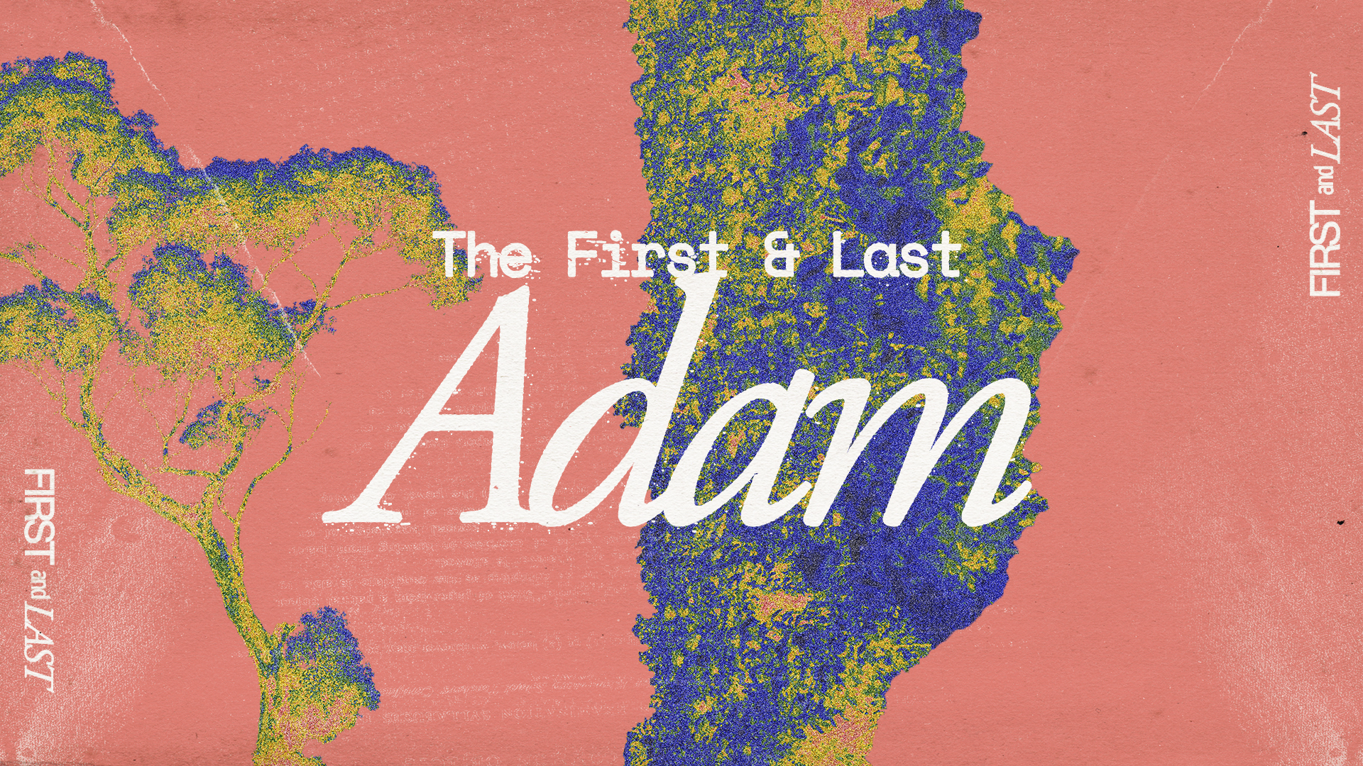 The First and Last Adam