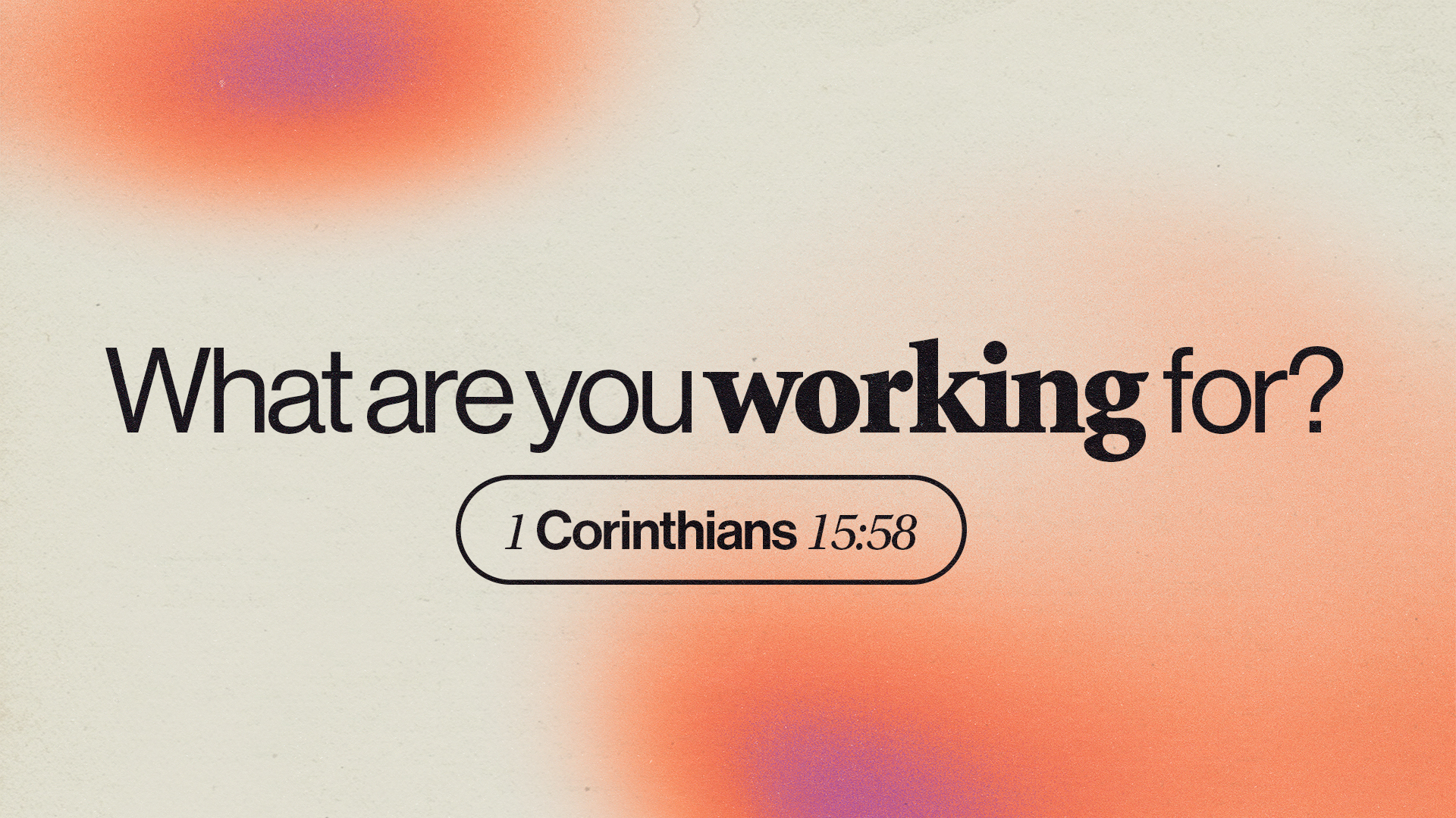 What Are You Working For?