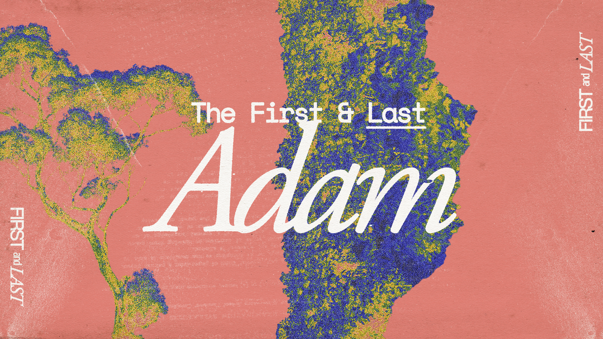 The Second Adam