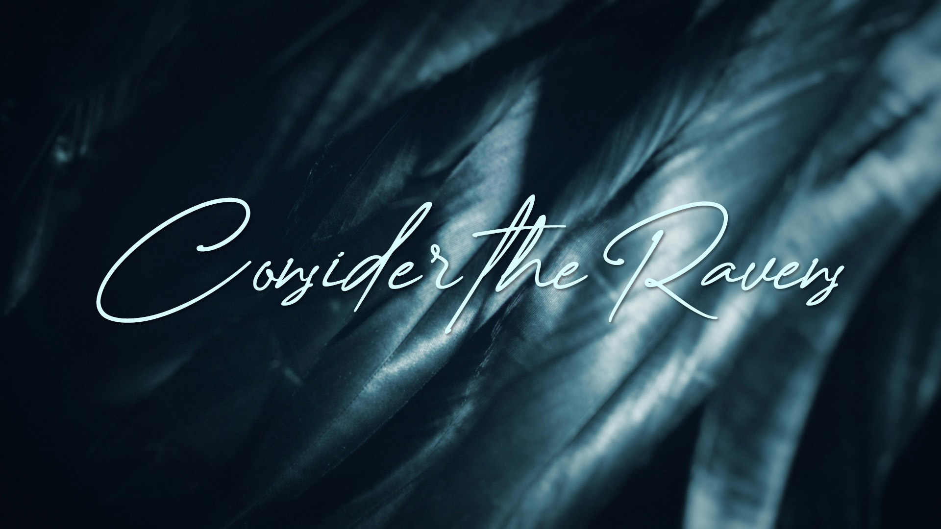 Consider The Ravens